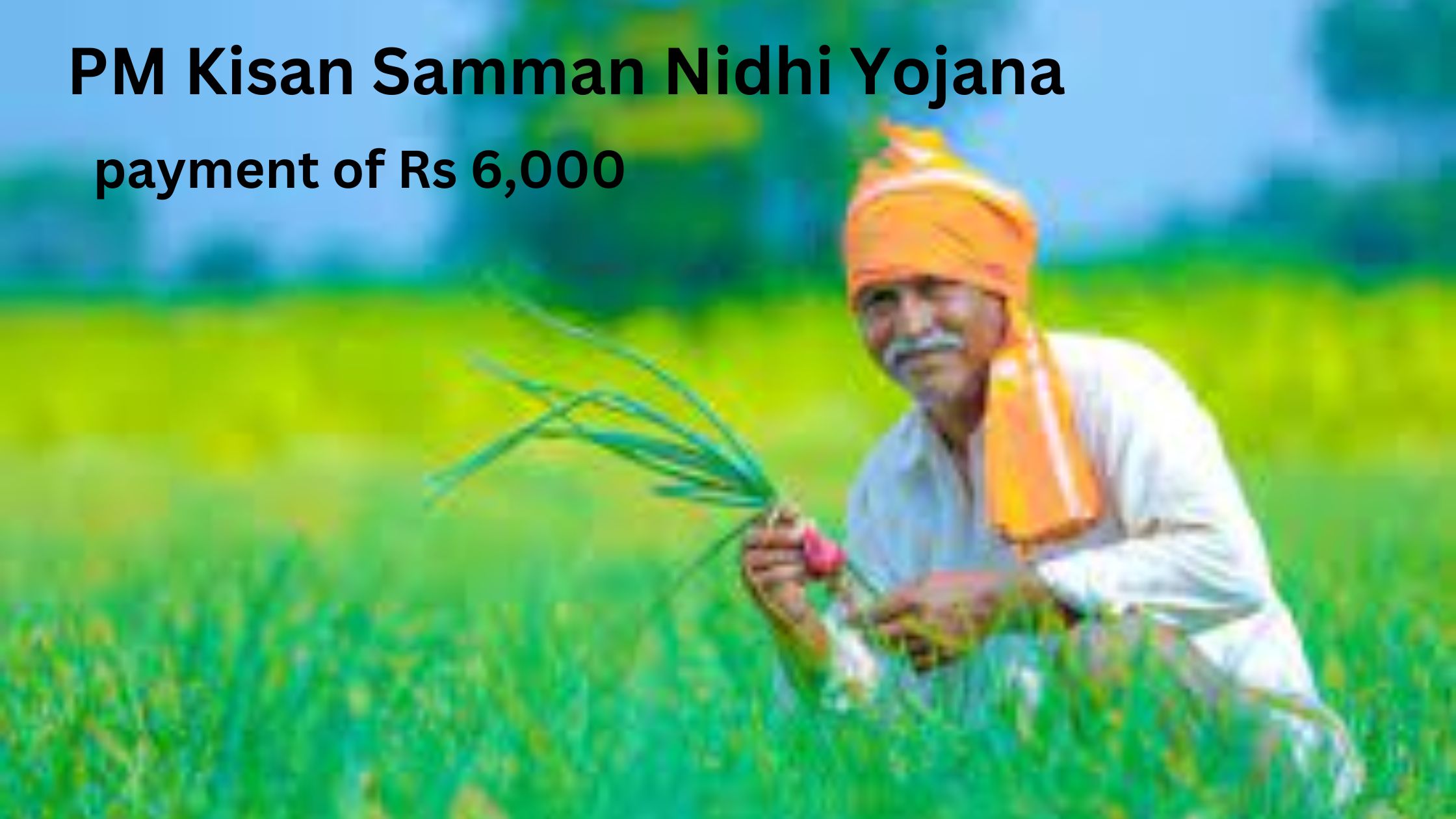 The PM Kisan Samman Nidhi Yojana provides farmers with an annual payment of Rs 6,000. Farmers receive this money put into their accounts in three equal installments of Rs 2,000.