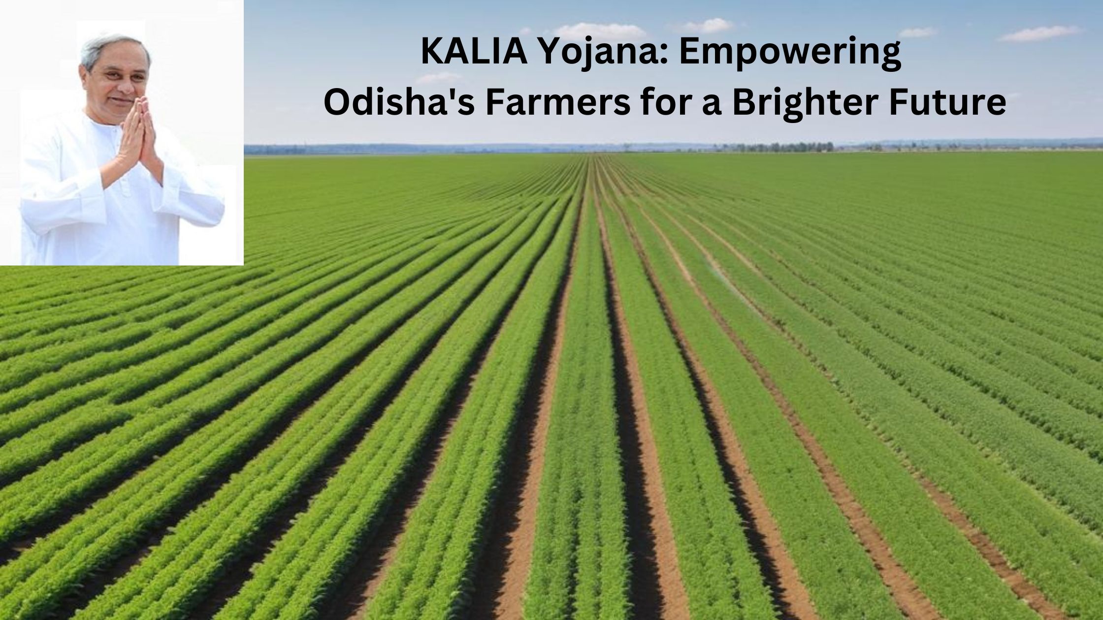 Launched by the Odisha government, KALIA Yojana (Krushak Assistance for Livelihood and Income Augmentation) is a transformative scheme supporting farmers, landless agricultural workers, and marginal cultivators.